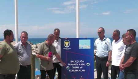 Mare Monte bölgesi, balık üremesi için koruma altına alındı