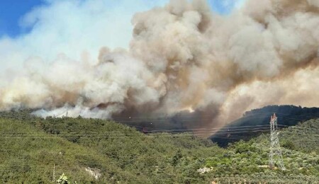 Hatay'daki orman yangınıyla ilgili bir şüpheli tutuklandı