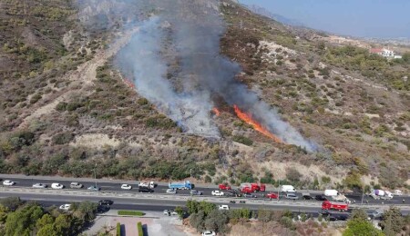 Girne’deki orman yangını korkuttu: Havadan ve karadan müdahale edildi!