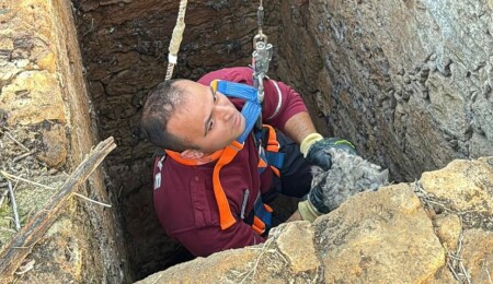 Yeniboğaziçi’nde kuyuya düşen kedi kurtarıldı