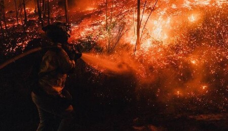 İspanya'da bu yıl 350 bin hektardan fazla ormanlık alan yandı