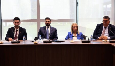 İdari, Kamu ve Sağlık İşleri Komitesi üç tasarıyı görüştü