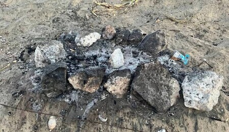 Barbecue Set on Turtle Nest: All Hatchlings Perish