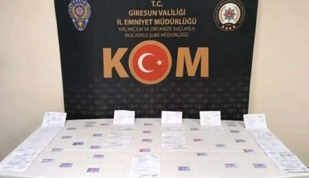 Türkiye’de ehliyet operasyonu: KKTC ve Gürcistan’dan sahtesini alıyorlardı!