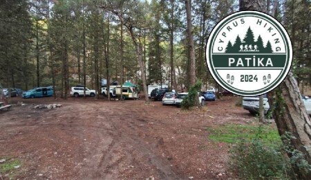 Patika: Ormanlar nefes alanlarımızdır, gelir kapısı değil