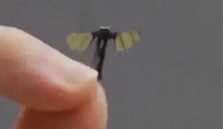Nano-teknolojide devrim: Çin ordusu, sinek büyüklüğünde drone üretti