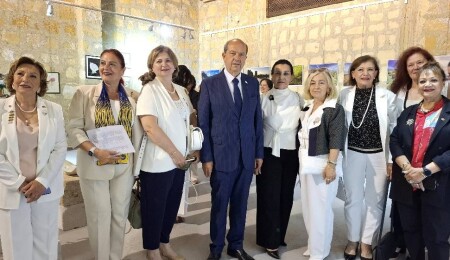 Inner Wheel 222. Bölge Kuzey Kıbrıs'tan MS hastaları yararına sergi