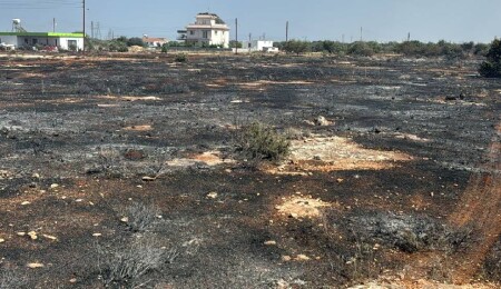 15 Fires in the Past Week