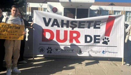 Hayvanlar mal değil, candır! Adalet hepimiz içindir