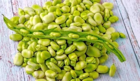 Akdeniz’in göz bebeği! Proteinde kırmızı eti 10'a katlıyor, doğal tansiyon ilacı