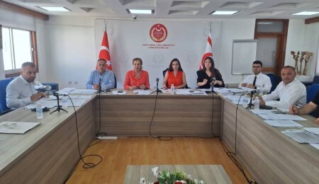 Ekonomi, Maliye, Bütçe ve Plan Komitesi, beş yasa tasarısını görüştü