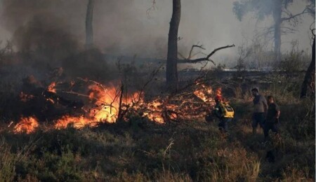 2024: 474 Fires Reported with Damage Exceeding 318 Million TL