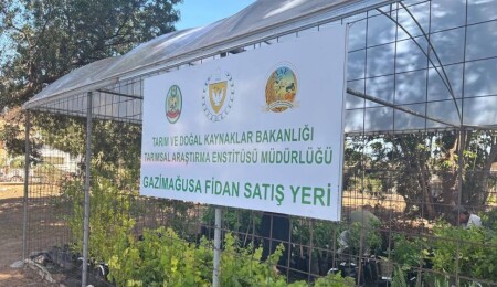 Gazimağusa’da fidanlık satış yeri hizmete girdi