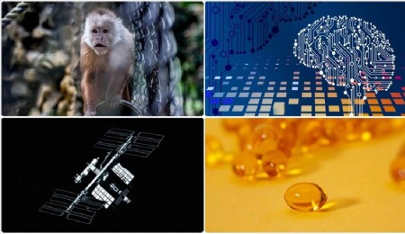 Uzay istasyonundaki yeni mikrop türünden fotoğraftan yaş analizine mayısın bilimsel gelişmeleri