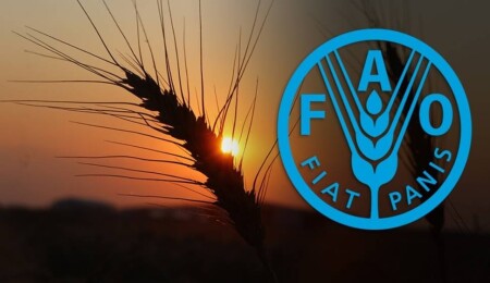 Türkiye, FAO konsey üyeliğine seçildi
