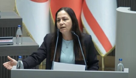 Şifa Çolakoğlu: Memlekette yolunda giden hiçbir şey yok