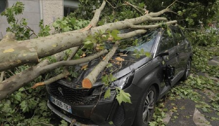 Fransa'da Benjamin Fırtınası nedeniyle başkentteki park ve bahçeler kapatıldı