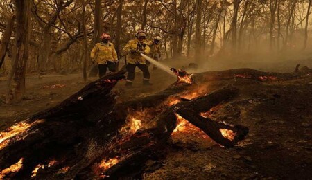 İzmir'in üç ilçesinde çıkan orman yangınlarına müdahale ediliyor
