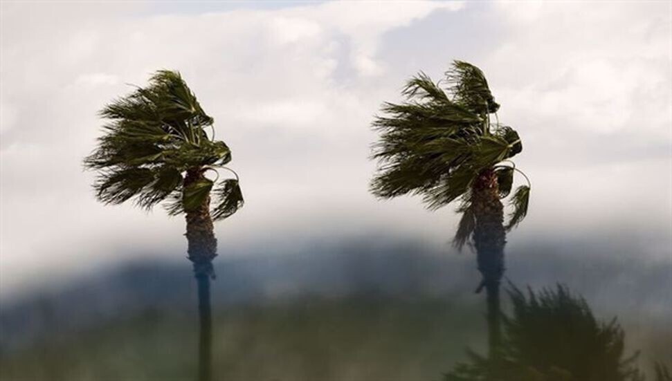 Meteoroloji Dairesi karada ve taurusta etkili olacak fırtınamsı rüzgar uyarısında bulundu
