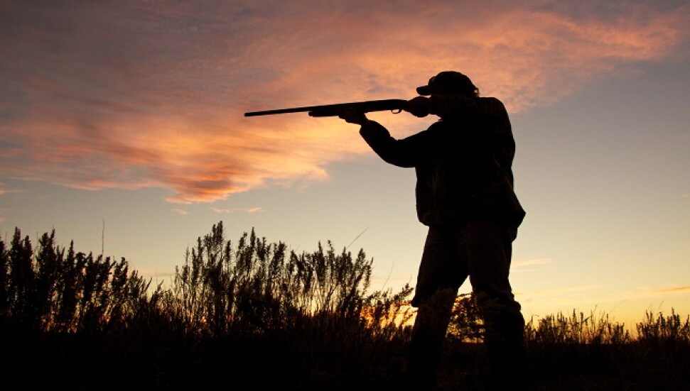 Legal Action Initiated Against Four for Illegal Hunting