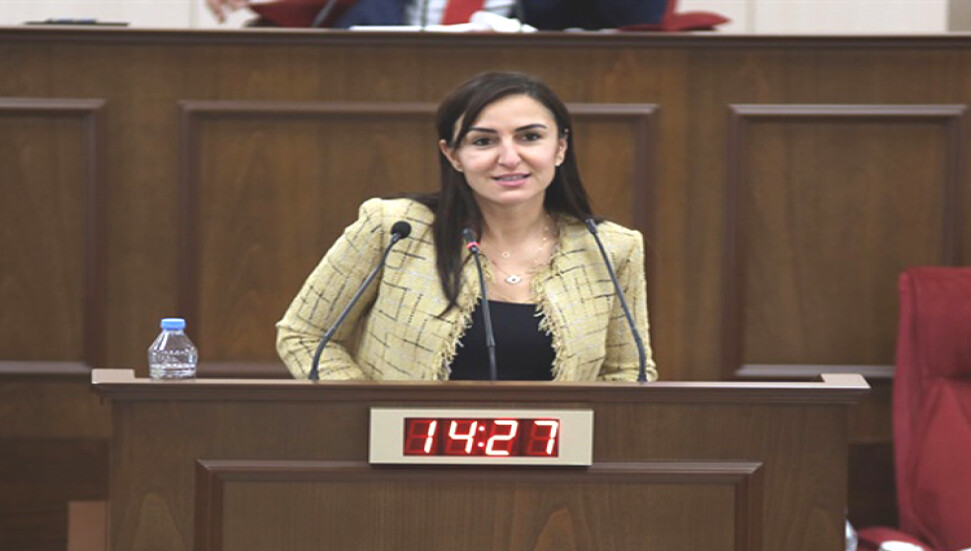 Jale Refik Rogers: Halk, bilerek, isteyerek tehlikeye atılıyor, zehirleniyor