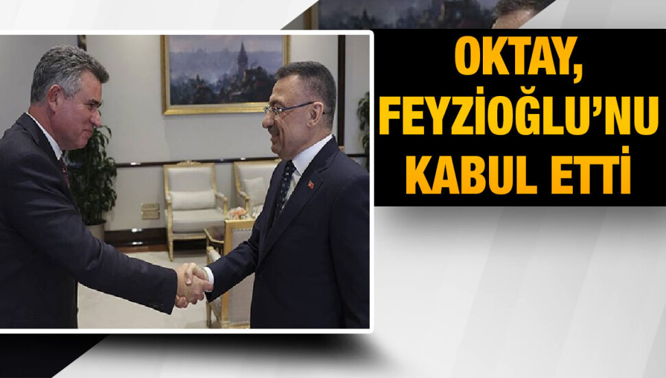 Fuat Oktay, Metin Feyzioğlu’nu kabul etti