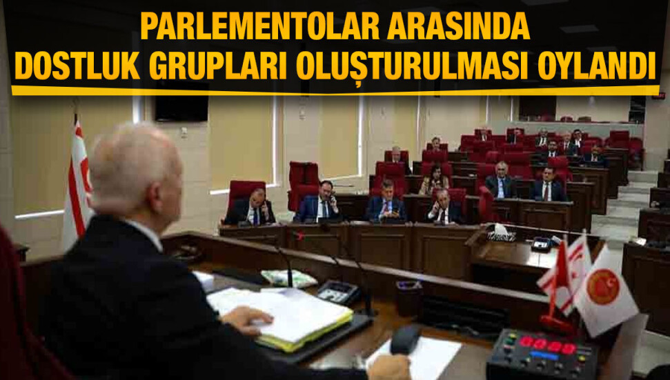 Cumhuriyet Meclisi'nde dostluk grupları oy birliğiyle kabul edildi