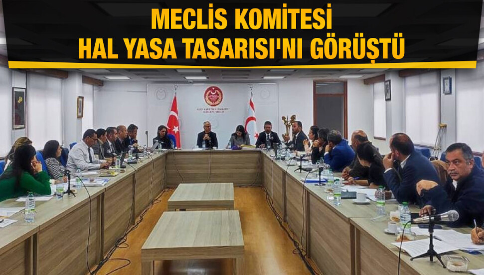 Meclis Komitesi Hal Yasa Tasarısı'nı görüştü