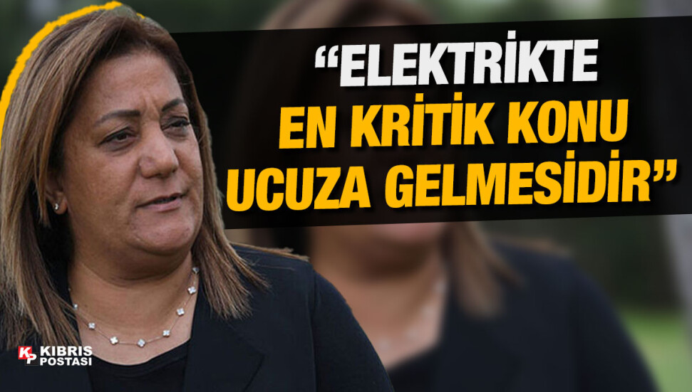 Gülşah Sanver Manavoğlu: “Kablo ile elektrik konusunda çok fazla miktarda soru işareti var”