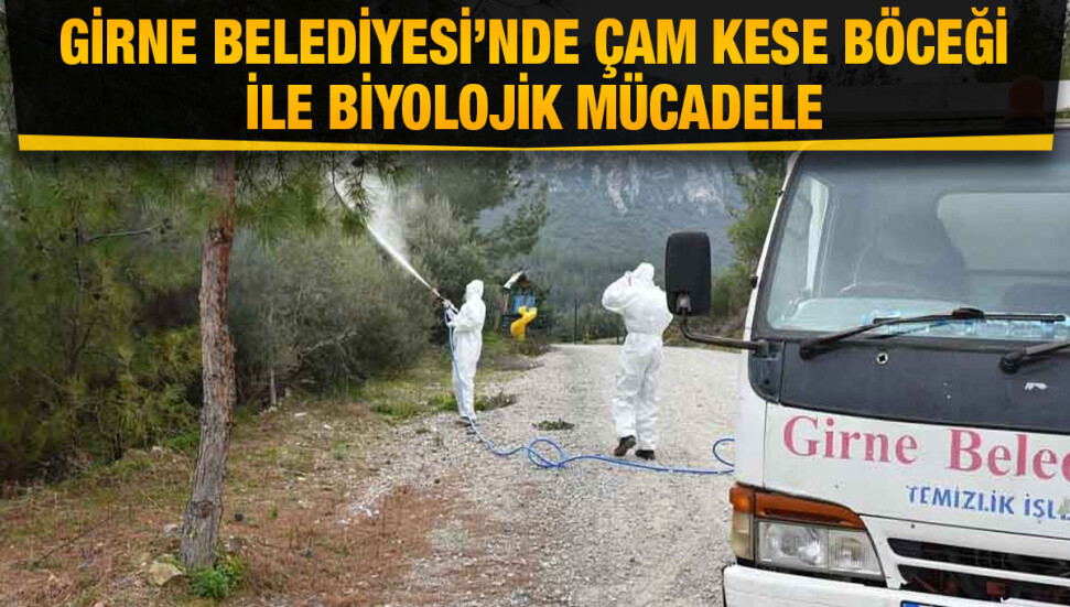 Girne Belediyesi halk ve hayvan sağlığını korumak için çam kese böceğine savaş açtı