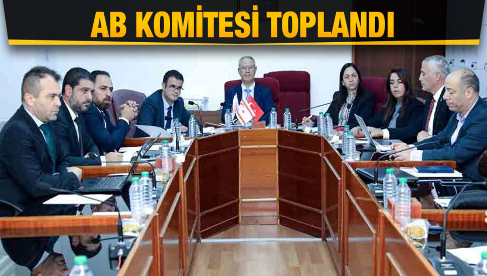 AB Komitesi, Hal Yasa Tasarısı’nı görüştü