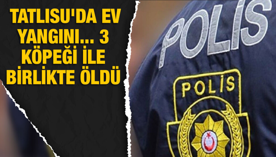 Rose Marıe Bastow ev yangınında 3 köpeği ile birlikte hayatını kaybetti