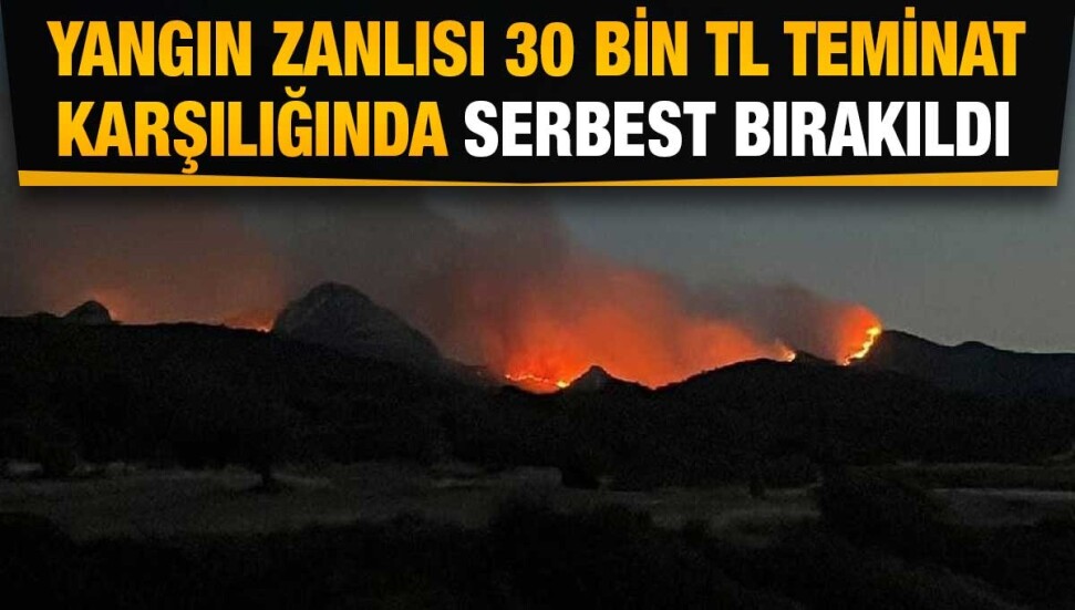Mersinlik yangının tutuklanan zanlı teminatla serbest bırakıldı