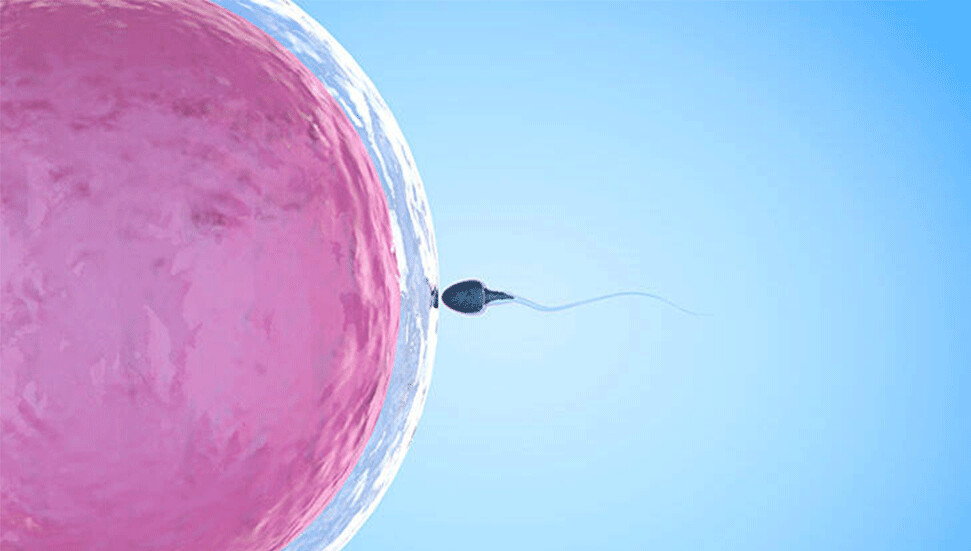 İnsan sperminin Newton'ın üçüncü hareket yasasını çiğnediği gözlemlendi