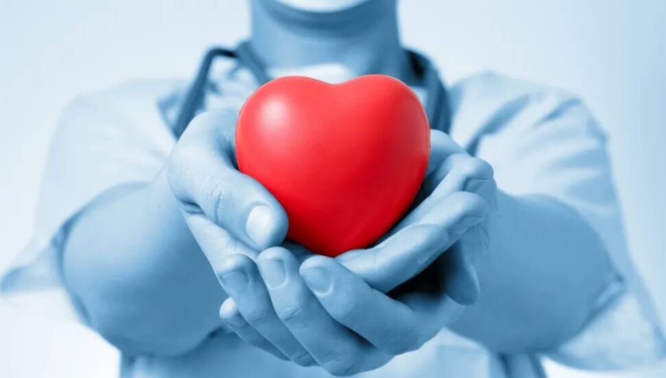 Organ and Tissue Donation Week: Around 140 People Await Organ Transplants