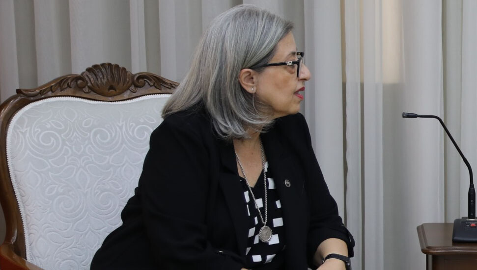 Narin Ferdi Şefik, personel eksikliğine dikkat çekti: Yargının işleyebilmesi için ihtiyaçlar giderilmeli