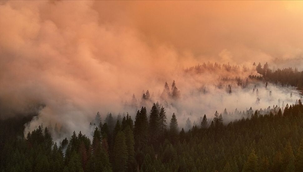 ABD'nin California eyaletindeki yangının etkilediği alanın Los Angeles'tan büyük olduğu belirlendi