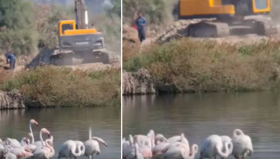 Haspolat'ta doğanın korunması için acil çağrı!
