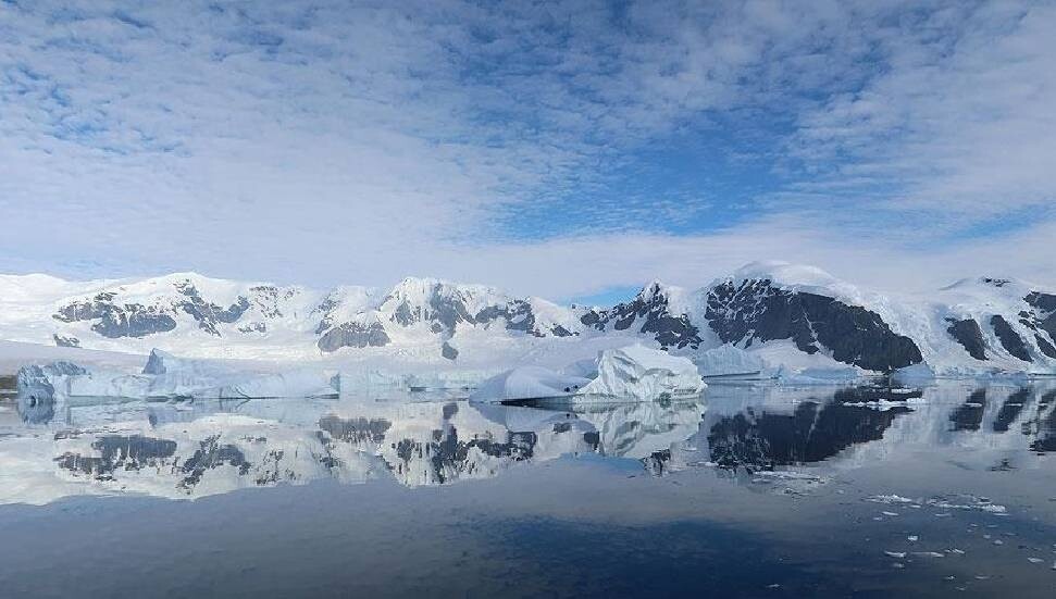 Antarktika’da yapay zeka devrimi: Saniyeler içinde tespit ettiler