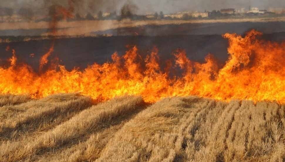 Serhatköy’de arazi yangını!