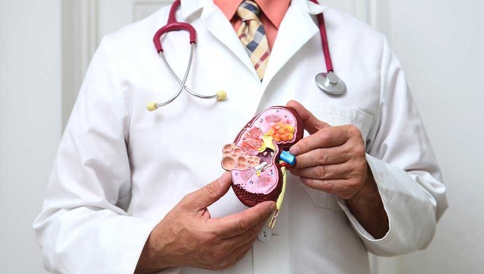Tabipler Birliği: Böbrek sağlığınızı erken tespit ile koruyun
