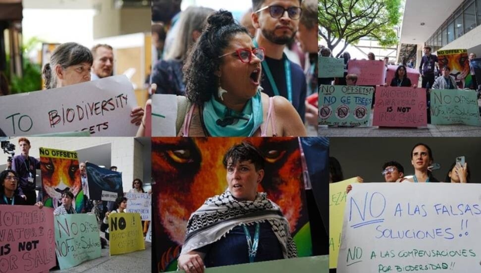 Çevre aktivistleri Kolombiya'da düzenlenen COP16 sırasında protesto düzenledi