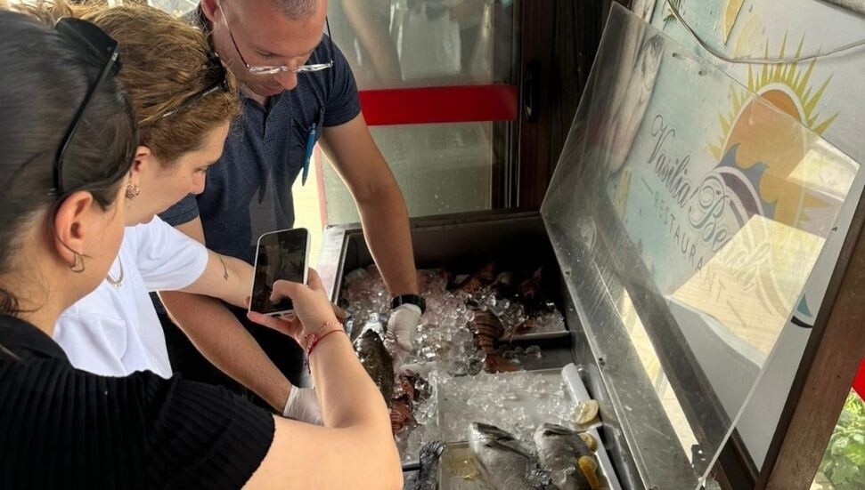 Lapta'da restoranlara denetim: Tarım Bakanlığı bazı deniz ürünlerine el koydu