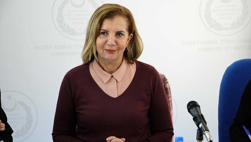 Kuzey Kıbrıs Muhasebe ve Denetim Meslek Yasa Tasarısı görüşüldü