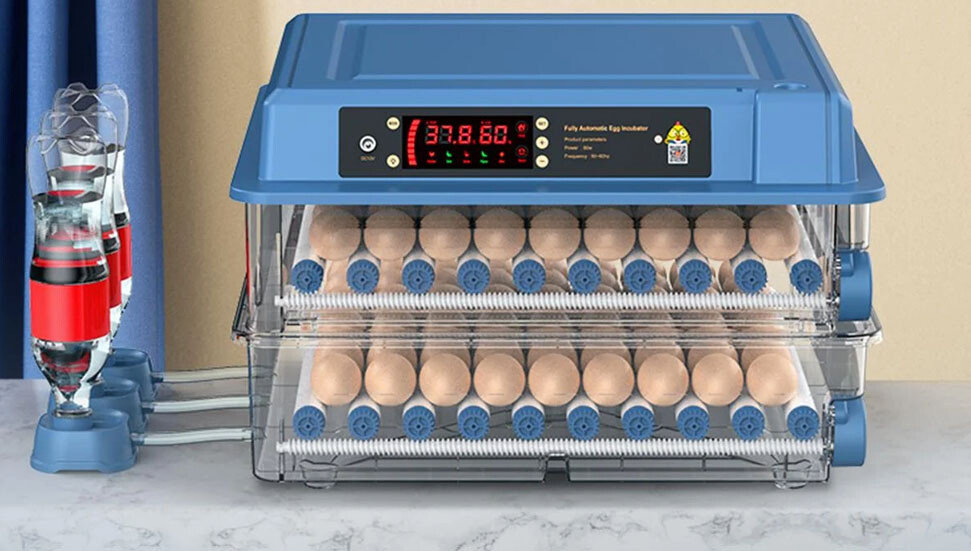 Kuluçka makinesinde nem oranı 70’e yükselirse ne olur?