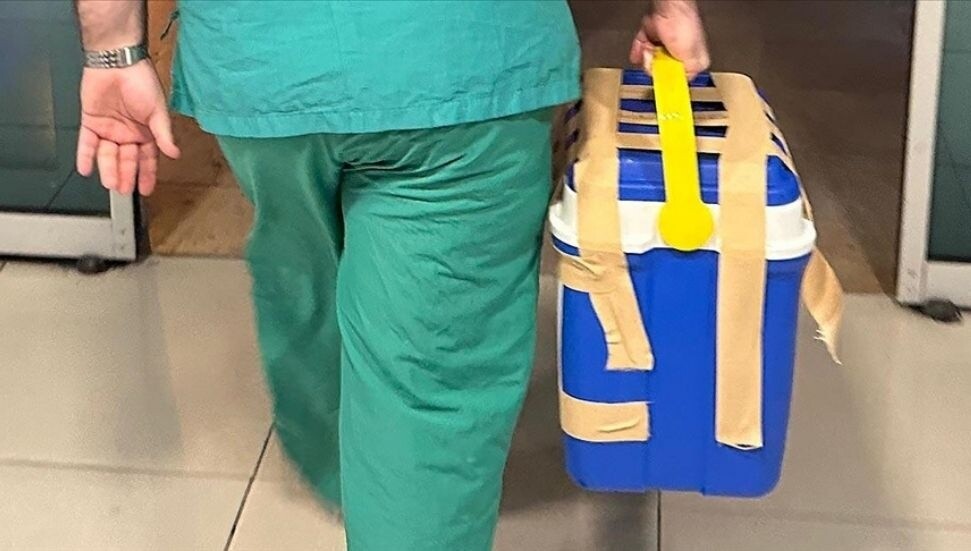Araştırma: Gönüllü böbrek bağışçılarının ameliyat sonrası ölüm riski sanılandan çok daha düşük