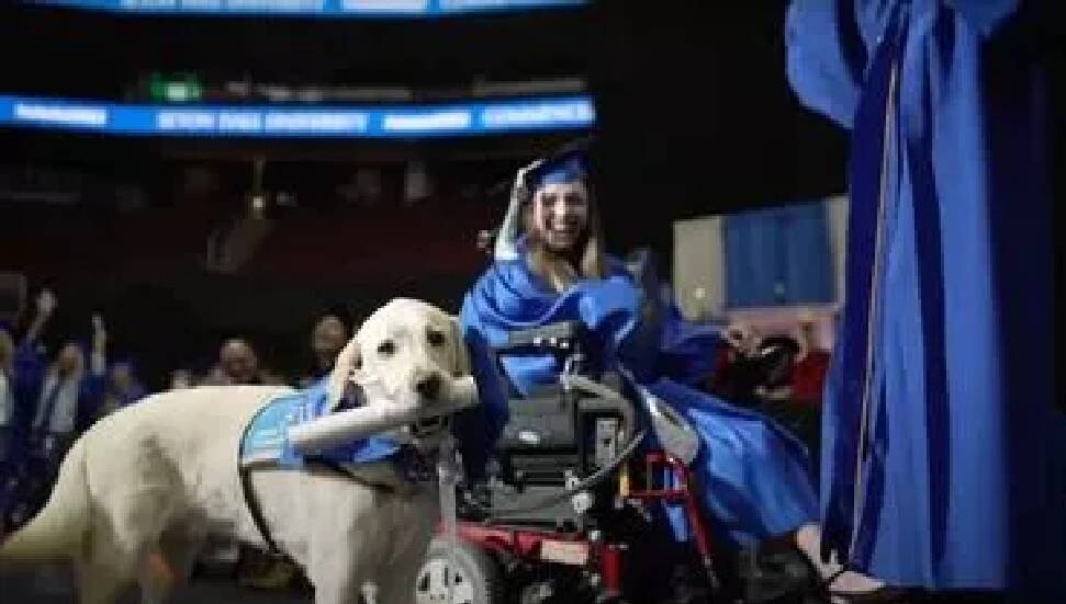 ABD'de sahibiyle aynı üniversiteden mezun olan köpek viral oldu