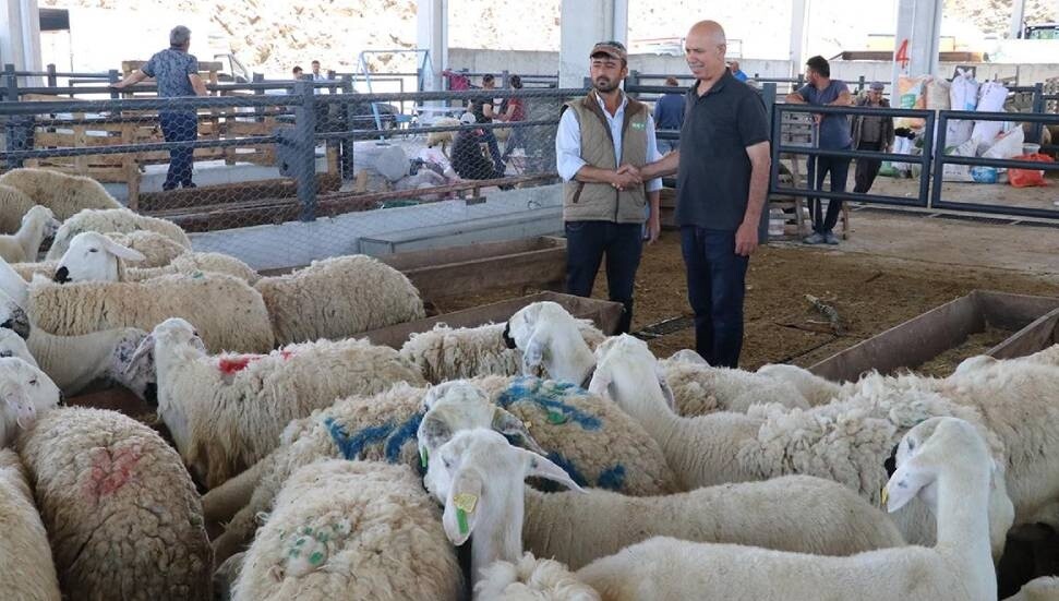 Türkiye’de kurban pazarlarında arife günü hareketliliği