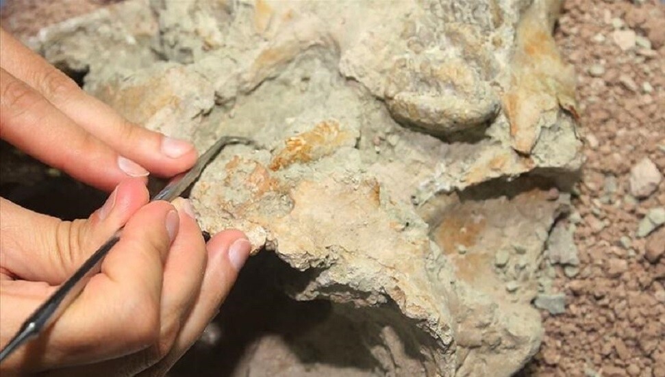 Baf’ta arkeolojik keşifler yapıldı