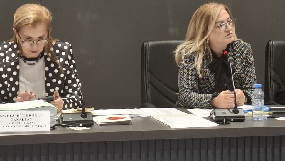 Ombudsman bütçesi komiteden geçti, Varol, ''yurt dışında kendimizi yeterince anlatamıyoruz'' dedi!